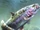 Trout Fish