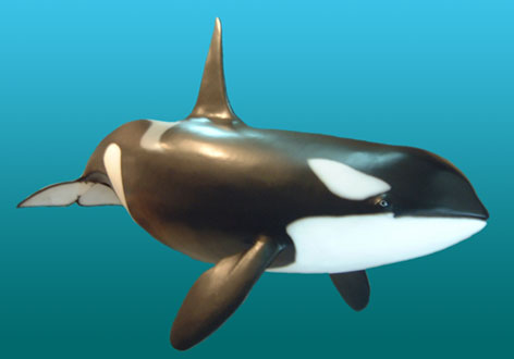 Killer Whale 完成品 Killer Whale | Beast Wars Transformers Wiki | Fandom