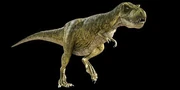 A Tarbosaurus.