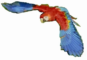 Road Rage in Beast Mode.