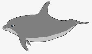 Dolphinus in beast mode