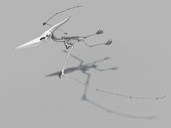 Pteranodon, Beast Wars Transformers Wiki