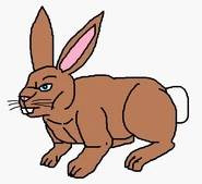 Volks in beast mode.