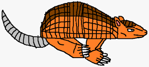 A running armadillo.