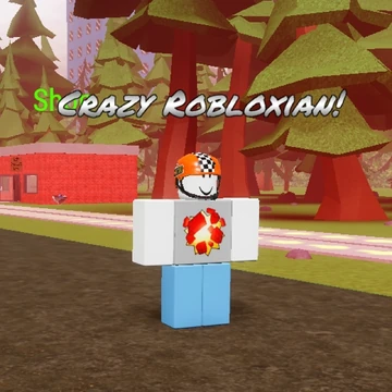 Crazy Robloxian | Beat The Robloxian: Redeveloped Wiki | Fandom