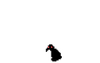 PC logo.png