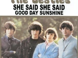 She Said She Said