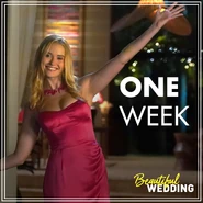 BW 1-Week.jpg (329 KB)