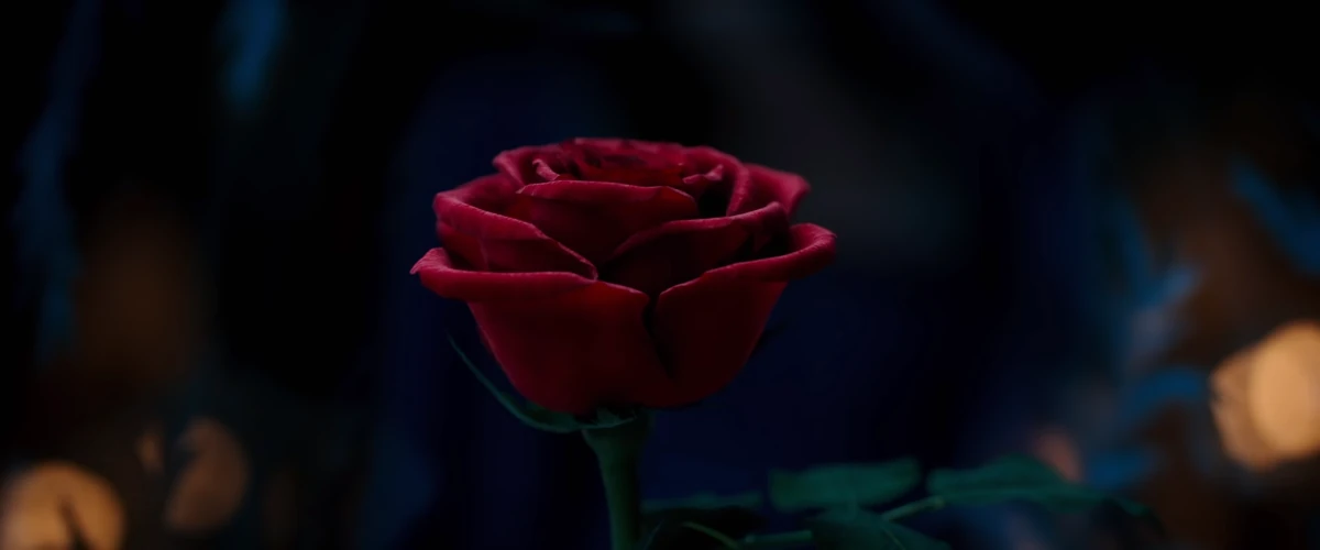The Enchanted Rose Beauty And The Beast 17 Movie Wiki Fandom