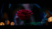 Rose-in-Beauty-and-the-Beast-2017-Wallpaper-HD