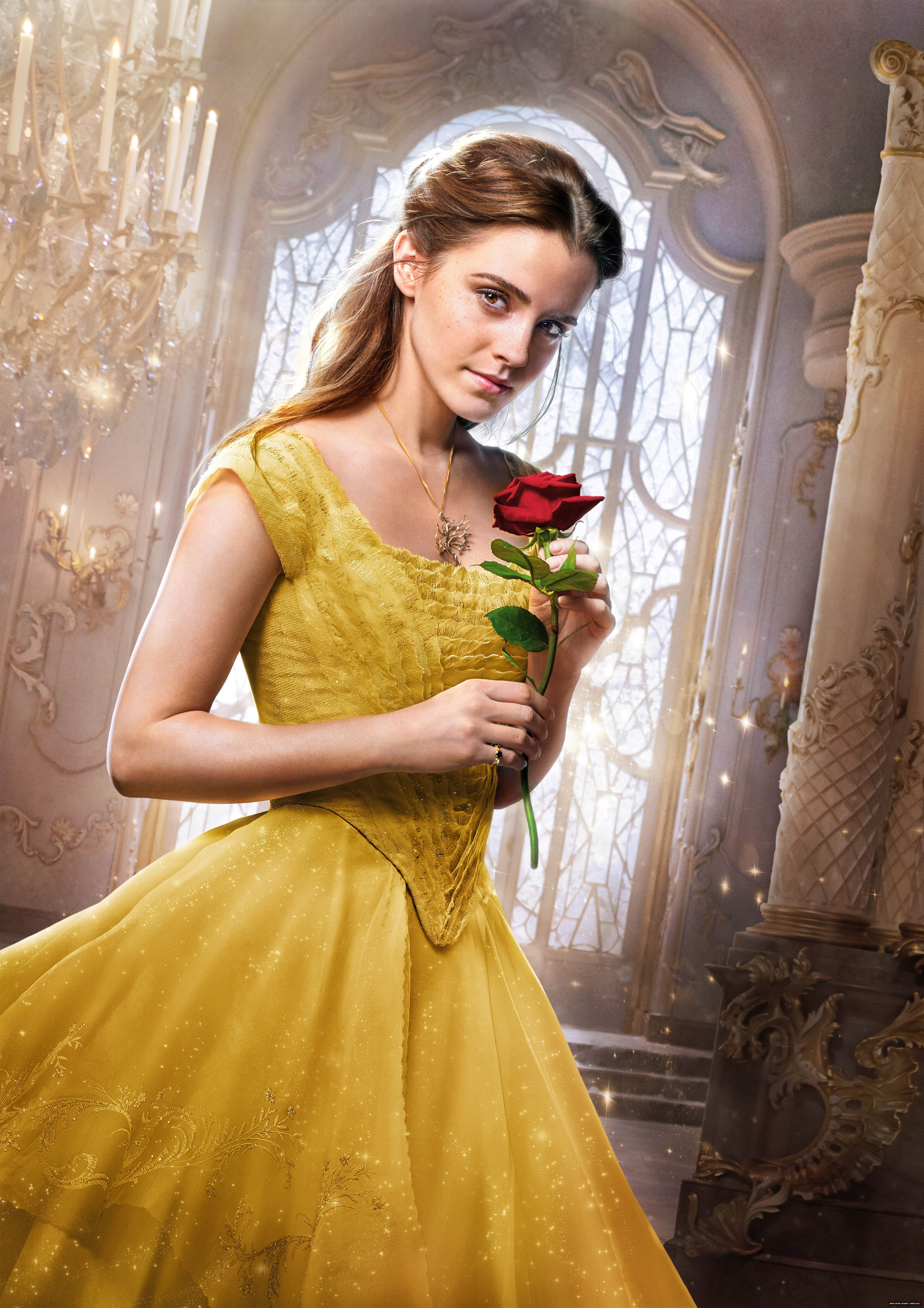 belle dress 2017