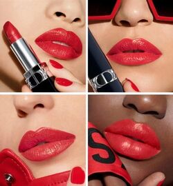 Dior Dioramour 762 Rouge Dior Refillable Beauty Lifestyle Wiki Fandom