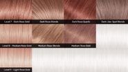 Hair Levels Rose Gold Example Swatches