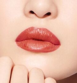 Dior Dolce Vita 555 Rouge Dior Beauty Lifestyle Wiki Fandom