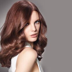 Loreal Dia Richesse #5.3 Brown Sugar Demi-Permanent Color