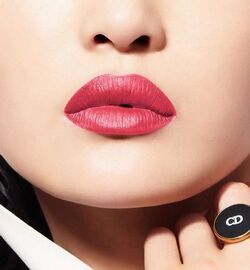 Dior rouge liquid 565 store