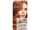 L'Oreal Paris:Le Color Gloss Copper 5