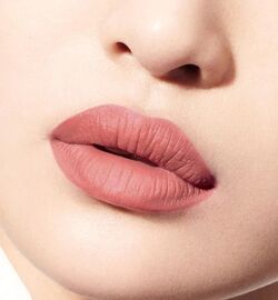 Rouge dior 426 deals