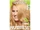 Garnier:Nutrisse Nourishing Color Creme Light Golden Blonde 93 (Honey Butter)