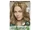 Clairol:Natural Instincts Natural Blonde 8 (Moonlight Blonde)