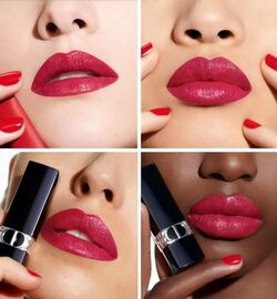 Dior Rialto 988 Rouge Dior Refillable Beauty Lifestyle Wiki Fandom