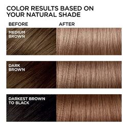 Dark hair scale  Hair color chart, Brown hair color chart, Brown hair  colors