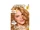 Garnier:Belle Color Honey Amber Blonde 7.33