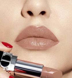 Dior Dansante 449 Rouge Dior Refillable Beauty Lifestyle Wiki