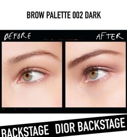 Dior Dark 002 Dior Backstage Brow Palette Beauty Lifestyle Wiki Fandom