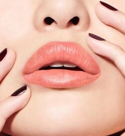 Dior Grege 1947 169 Rouge Dior Beauty Lifestyle Wiki Fandom