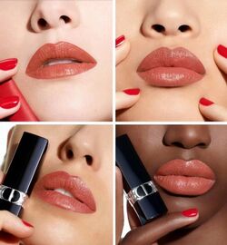 Rouge dior promenade clearance