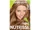 Garnier:Nutrisse Nourishing Color Creme Dark Natural Blonde 70 (Almond Creme)