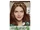 Clairol:Natural Instincts Light Auburn 6R (Spiced Tea)