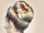 Hair Education: Hair Chalk