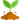Sprout