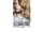 L'Oreal Paris:Feria Dark Golden Blonde 73 (Golden Sunset)