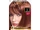 L'Oreal Paris:Superior Preference Light Auburn 6R
