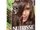 Garnier:Nutrisse Ultra Color Cool Brown B1 (Iced Macchiato)
