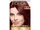 L'Oreal Paris:Superior Preference Dark Auburn 4R