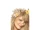 Garnier:Belle Color Light Ash Blonde 91