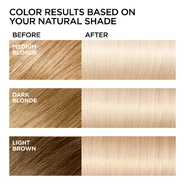 L'Oréal Feria Bleach Chart Sample.