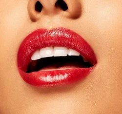 mac snowfilter lipstick