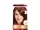 L'Oreal Paris:Excellence Creme Dark Copper Mahogany G54