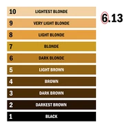 L'Oréal Professionnel Number Chart.