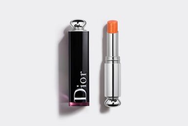 Dior Rosewood Vibe 484 Rouge Dior Beauty Lifestyle Wiki Fandom