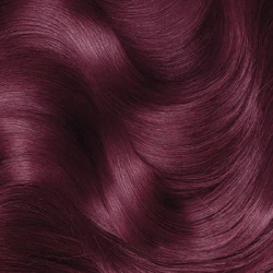 Garnier:Color Sensation Dark Intense Auburn 4.60 (Cherry On Top