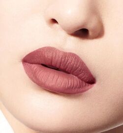 Dior Hypnotic Matte 481 Rouge Dior Beauty Lifestyle Wiki Fandom