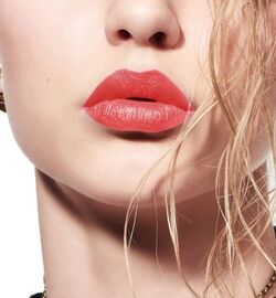 Dior Impetuous Satin 442 Rouge Dior Liquid Beauty Lifestyle Wiki