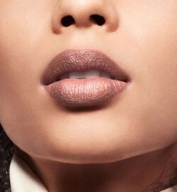 Dior Jungle Beige 510 Rouge Dior Double Rouge Beauty Lifestyle Wiki Fandom