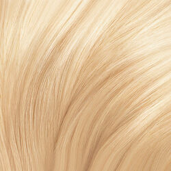Revlon:ColorSilk Beautiful Color Champagne Blonde 73 | Beauty Lifestyle  Wiki | Fandom
